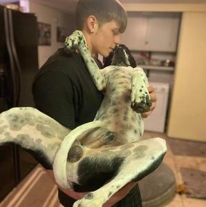 Meet your Posher, Damion